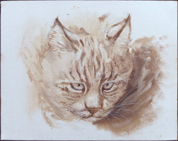 bobcat sketch